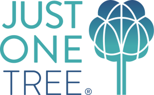 Article Thumbnail Image