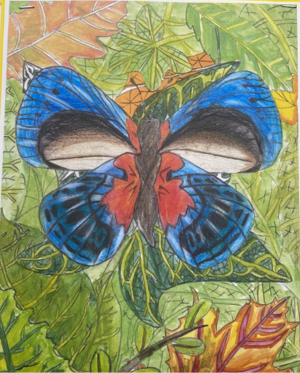 Article Thumbnail Image